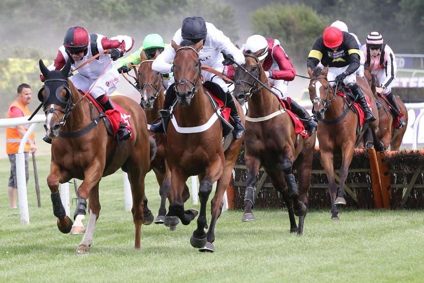 Horse Racing Syndicates Horse Racing Syndicates Racehorse Syndicates Value Racing Club